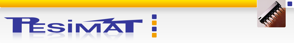 Primary Raster logo